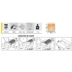Scie à Onglet FEMI Avec Déligneuse - 1200W Ø254mm - TR245 -Stanley Magasin SDB75007 2