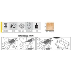 Scie à Onglet FEMI Avec Déligneuse - 1800W Ø250mm - TR235 -Stanley Magasin SDB75008 2