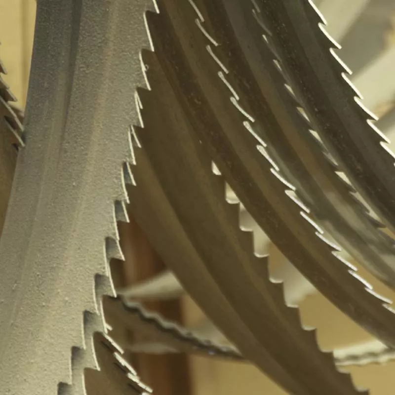 Lame Scie Ruban 6 Z/1" 1335x13x0.65 Mm FEMI NG110 - 3280065 4 Lame Scie Ruban 6 Z/1" 1335x13x0.65 Mm FEMI NG110 - 3280065 – Image 2